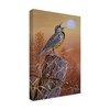 Trademark Fine Art Jeff Tift 'Meadowlark Painting' Canvas Art, 22x32 ALI30242-C2232GG